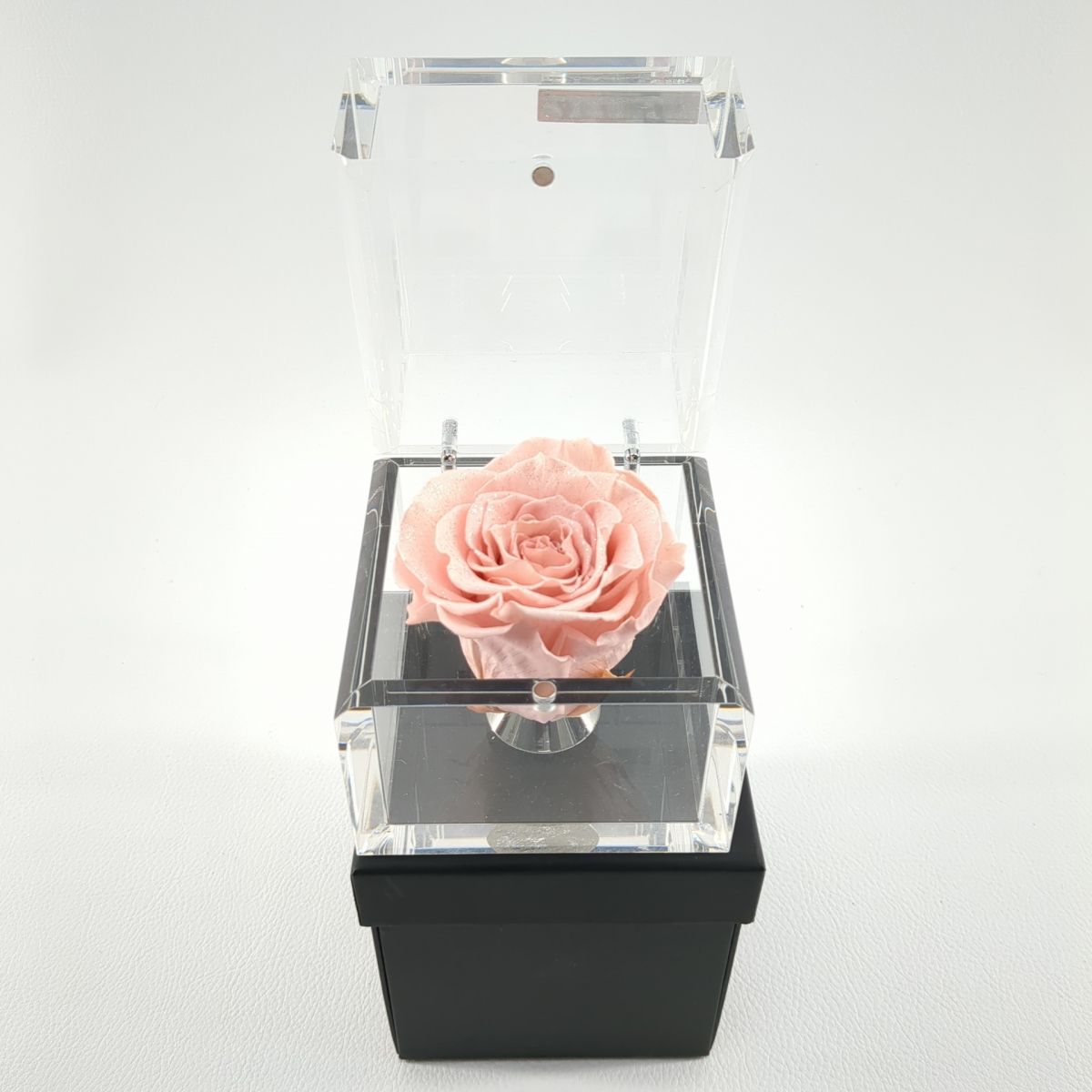 ROSE GALLERYmyuze diamond rose box (M) pink preserved rose interior *3109/. bamboo shop 