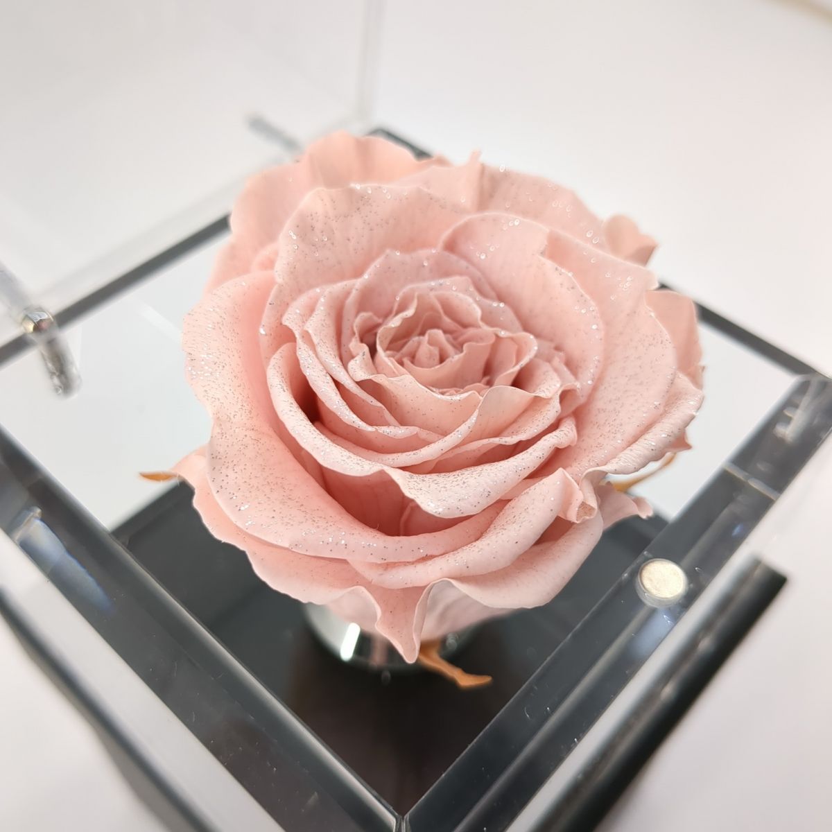 ROSE GALLERYmyuze бриллиант rose box (M) розовый консервированный rose интерьер *3109/. бамбук магазин 