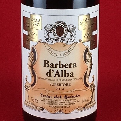 TERRE DEL BAROLO テッレ・デル・バローロ バルベーラ・ダルバ・スペリオーレ 2014 750mlびん 1本 ワイン 赤ワインの商品画像
