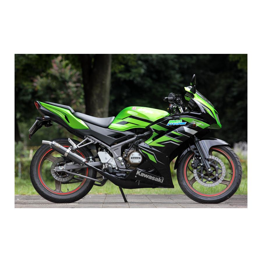 SP Tadao (SPtadao) Jackal камера черный эмблема Ninja150RR Ninja 150RRKR15