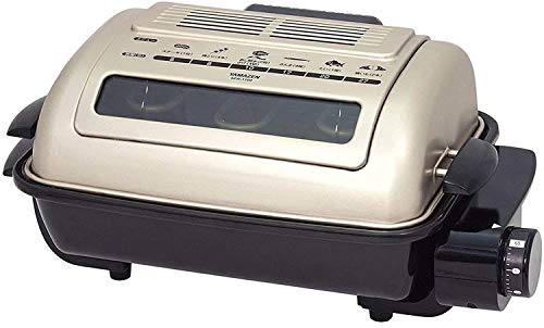 パナソニック けむらん亭 NF-RT1000-T（ブラウン） フィッシュ