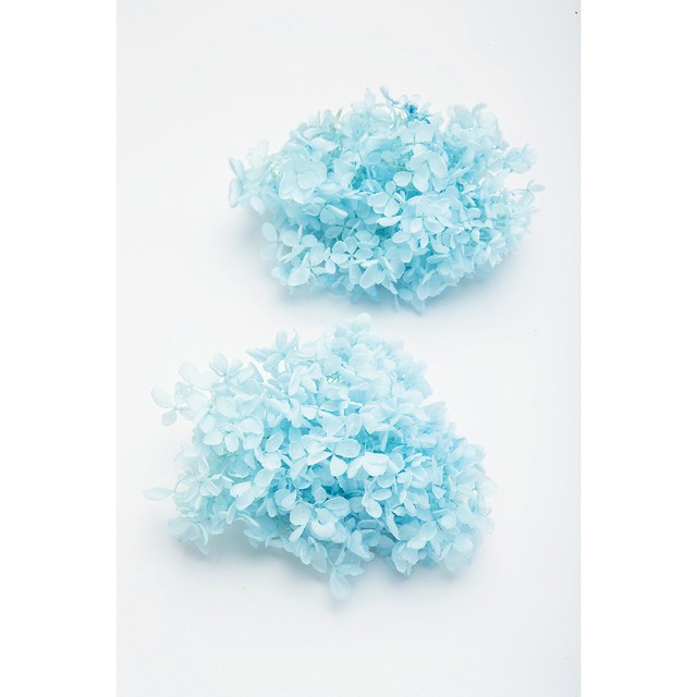 [ preserved flower dry flower material for flower arrangement material ] pillar mid hydrangea * head * baby blue 