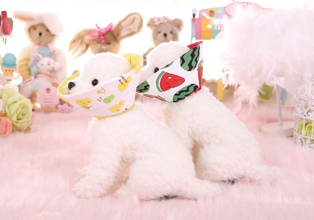 ペット用品 エリザベスカラー 犬 いぬ 猫 ねこ ペット や ギガランキングｊｐ