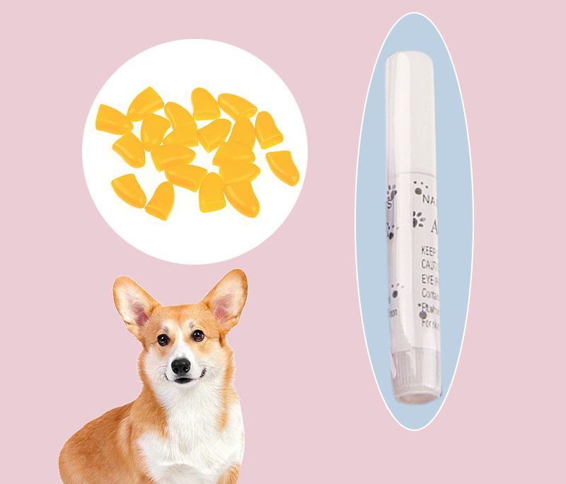 ネイルキャップ ネイルカバー 犬用 ペット 愛犬 犬 爪の保護 滑り止め 家具 床 ソファー カーテン 引っかき防止 カラフル 無地 シンプル 可愛い プラスナオ Paypayモール店 通販 Paypayモール