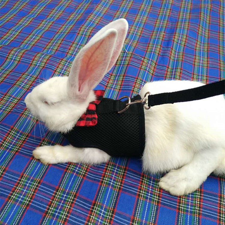 チープ 小動物用ハーネス リード 2点セット 兎用 ウサギ ペット用品 ペットグッズ 蝶 かわいい カラバリ豊富 お散歩 インスタ映 お出かけ 記念写真 結び