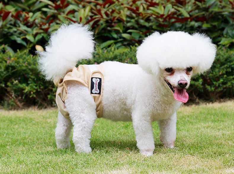 犬用 マナーパンツ ウエア サニタリーパンツ しつけ トイレ オムツカバー オシッコ失敗 シンプル おしっこ ドッグウェア