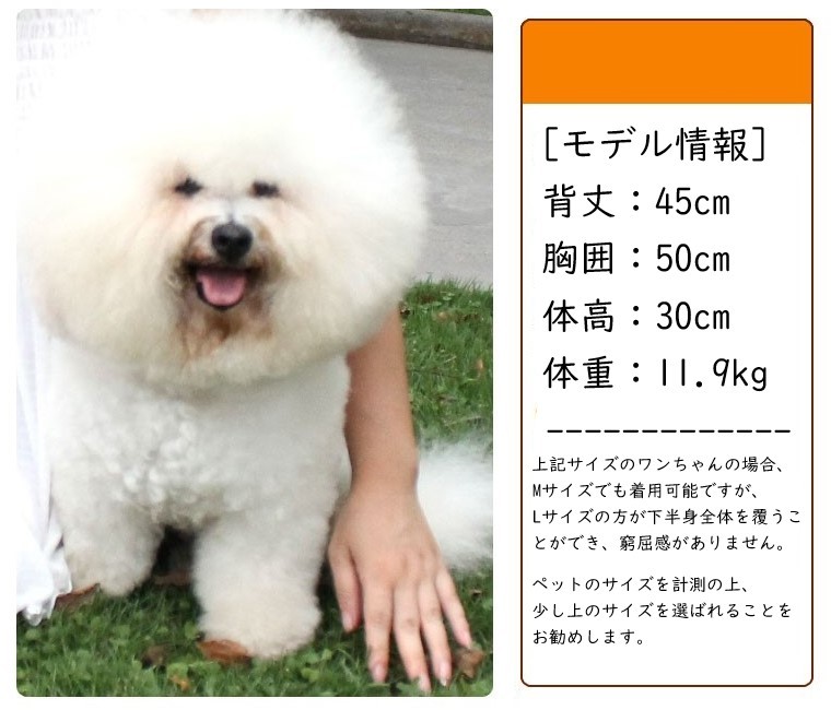 犬用サニタリーパンツ 犬用生理用品 パンツ サスペンダー 2 ギガランキングｊｐ