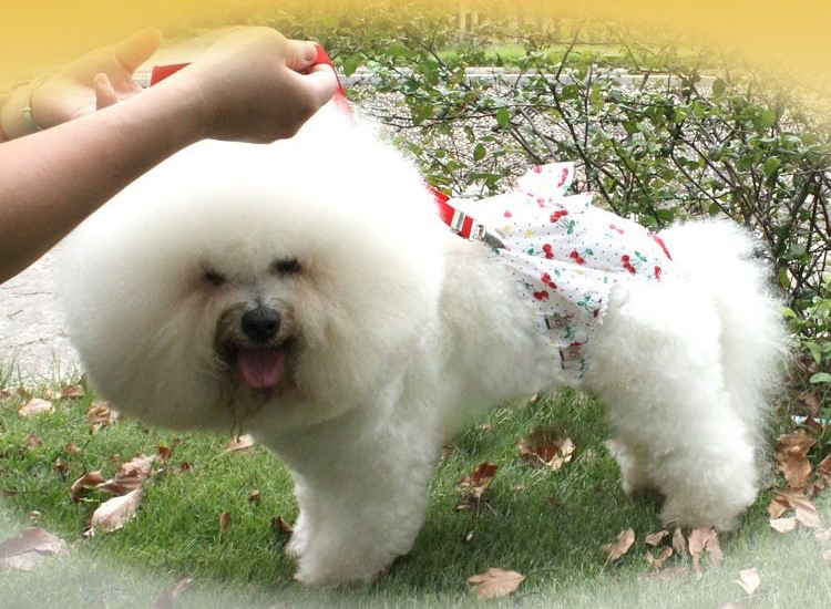 犬用サニタリーパンツ 犬用生理用品 パンツ サスペンダー 2 ギガランキングｊｐ