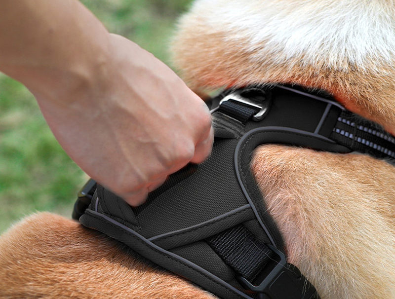 ハーネス 胴輪 単品 犬用 ドッグ ペット用品 小型犬 中型犬 反射ステッチ お出かけ ハンドル付き い テレビで話題 かっこいい シンブル お散歩 外出 おしゃれ