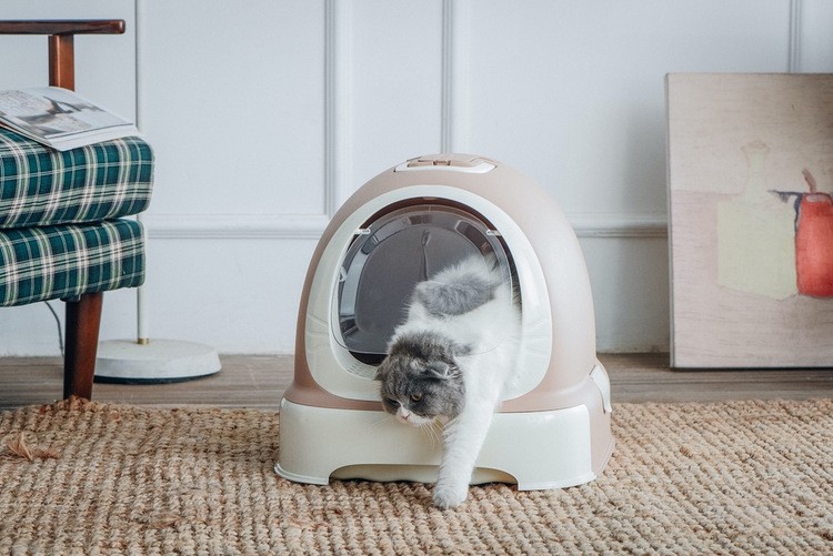 けとなりま ペット用 シャベル 取っ手つき 持ち運び 猫用トイレ ネコ 扉 プラスナオ Paypayモール店 通販 Paypayモール 猫 ねこ トイレ かわいい 猫用 キャット ドーム ひげ カラバリ豊富 おしやれ 猫砂 アクセント
