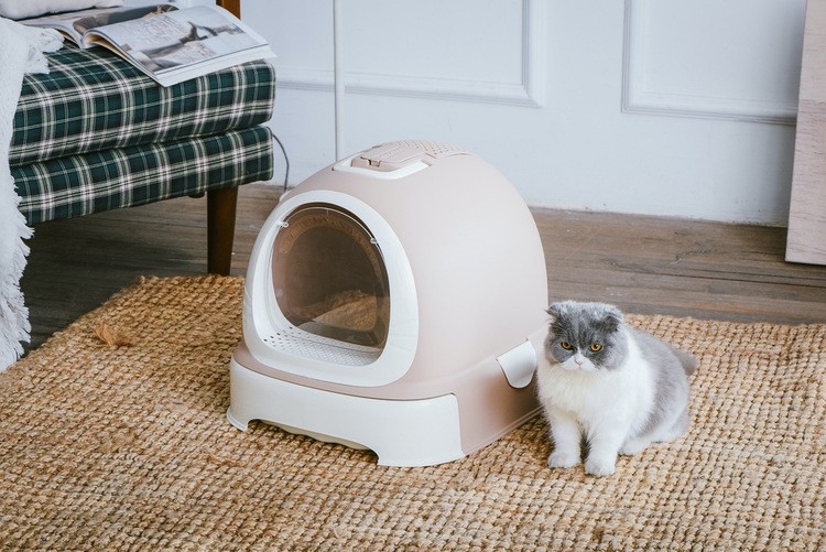 けとなりま ペット用 シャベル 取っ手つき 持ち運び 猫用トイレ ネコ 扉 プラスナオ Paypayモール店 通販 Paypayモール 猫 ねこ トイレ かわいい 猫用 キャット ドーム ひげ カラバリ豊富 おしやれ 猫砂 アクセント