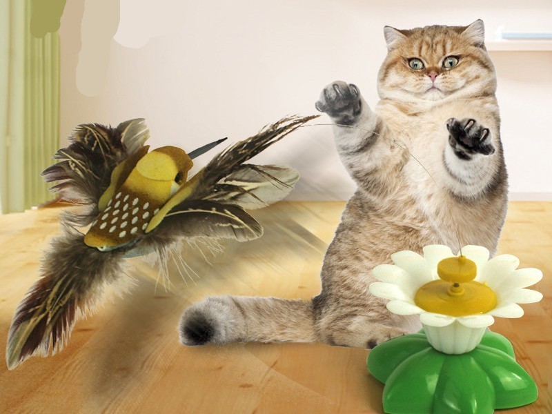 電動猫じゃらし ねこ用おもちゃ ペット用品 ネコグッズ 初回限定 ワイヤー 蝶 小鳥 花 ストレス解消 玩具 運動不足 ぐるぐる動く にゃんこ 遊 単4電池使用