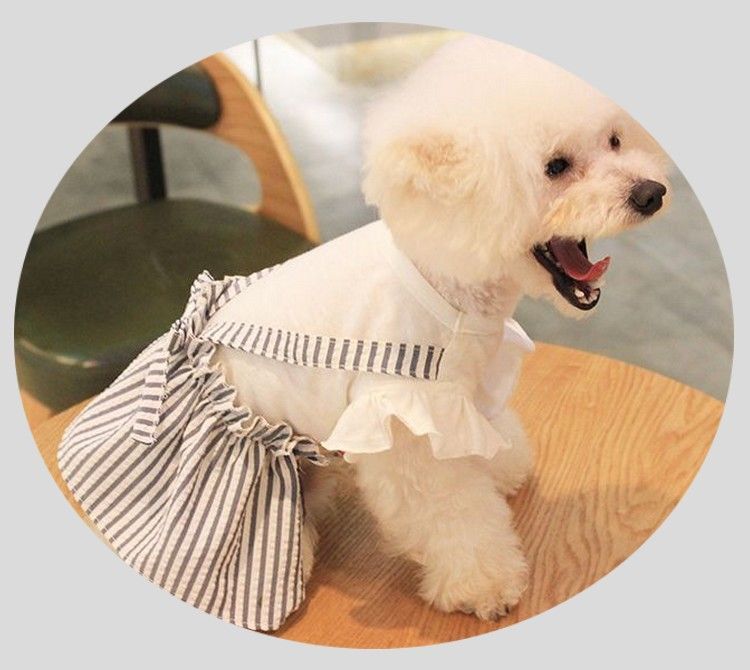 可愛いクリスマスツリーやギフトが ペット服 ワンピース ドッグウエア キャットウエア フリル袖 ストライプ お出掛け お散歩 おめかし 犬 猫 縦縞 グレー パープル かわいい おしゃ Heartlandgolfpark Com