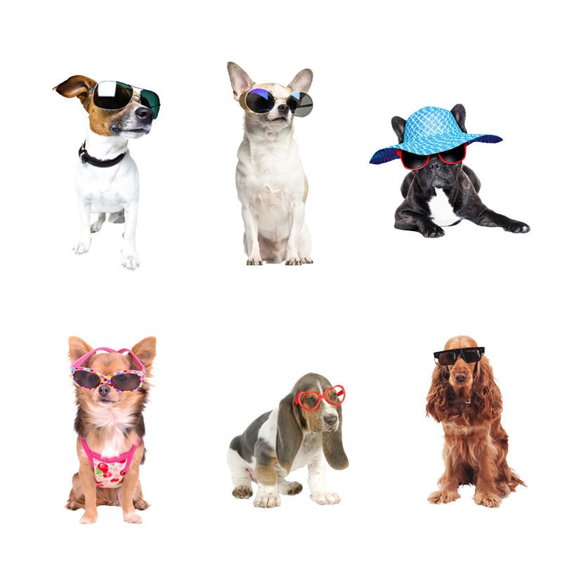 ウォールステッカー インテリア シール 壁紙 犬 Dog グラフィック 動物 模様替え 部屋 リメイク 寝室 キッチン リビング プラスナオ Paypayモール店 通販 Paypayモール