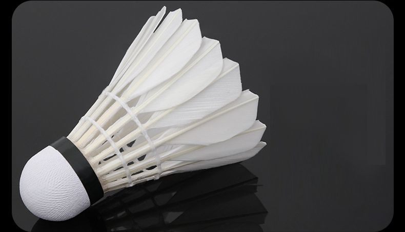 今季ブランド バドミントン シャトル Tech Muhoko Org