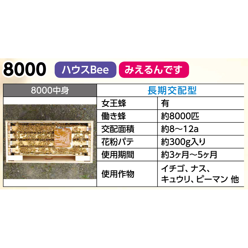  pollen . distribution exclusive use Mitsuba chi house Bee 8000 long time period . distribution type Akita shop head office red ya nest box light weight robust . bee bee breeding payment on delivery un- possible remote island Hokkaido Kyushu delivery un- possible repeated delivery un- possible 