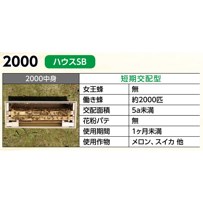  pollen . distribution exclusive use Mitsuba chi house SB 2000 short period . distribution type Akita shop head office red ya nest box light weight robust . bee bee breeding payment on delivery un- possible remote island Hokkaido Kyushu delivery un- possible repeated delivery un- possible 