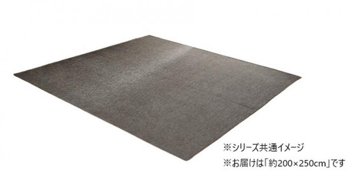 モデルノ シェニールラグ 洗えるラグ 撥水 滑り止め ホットカーペット対応 コンパクト 洗える 約200×250cmの商品画像