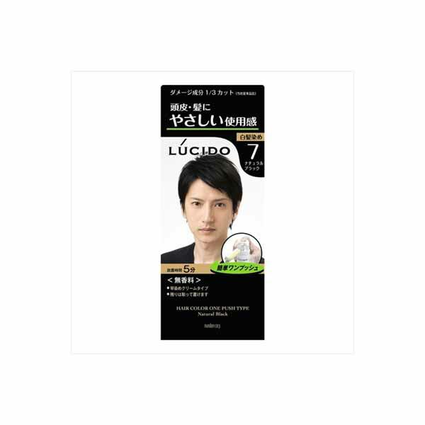 LUCIDO ワンプッシュケアカラー（ナチュラルブラック）×20個 メンズヘアカラー、白髪染めの商品画像