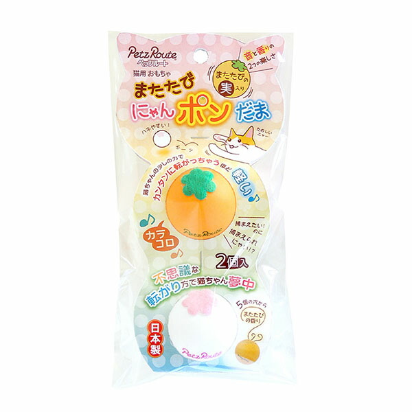 6個