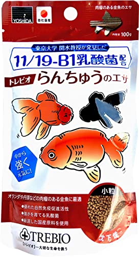  Yoshida . стоимость torebio золотая рыбка. корм 100g