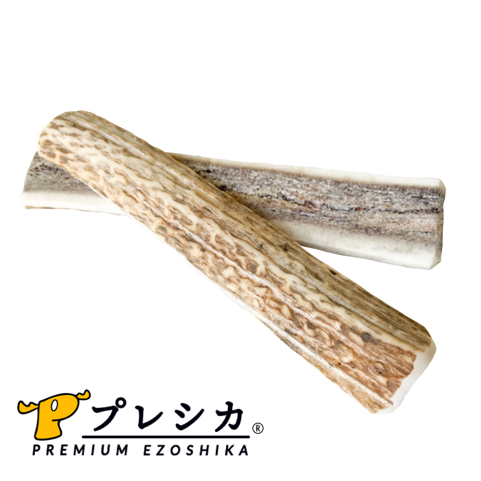 pre-shika_4589468774266