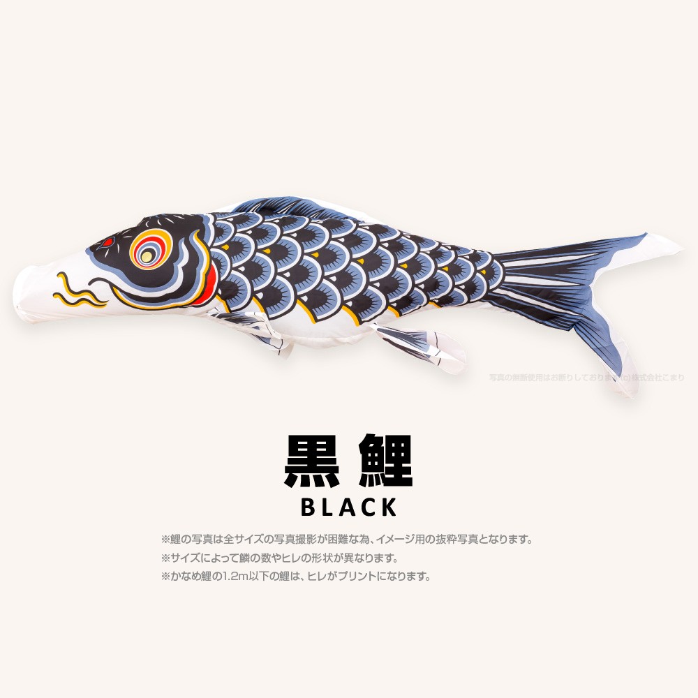  koinobori single goods ... common carp 0.9m single goods common carp koinobori 