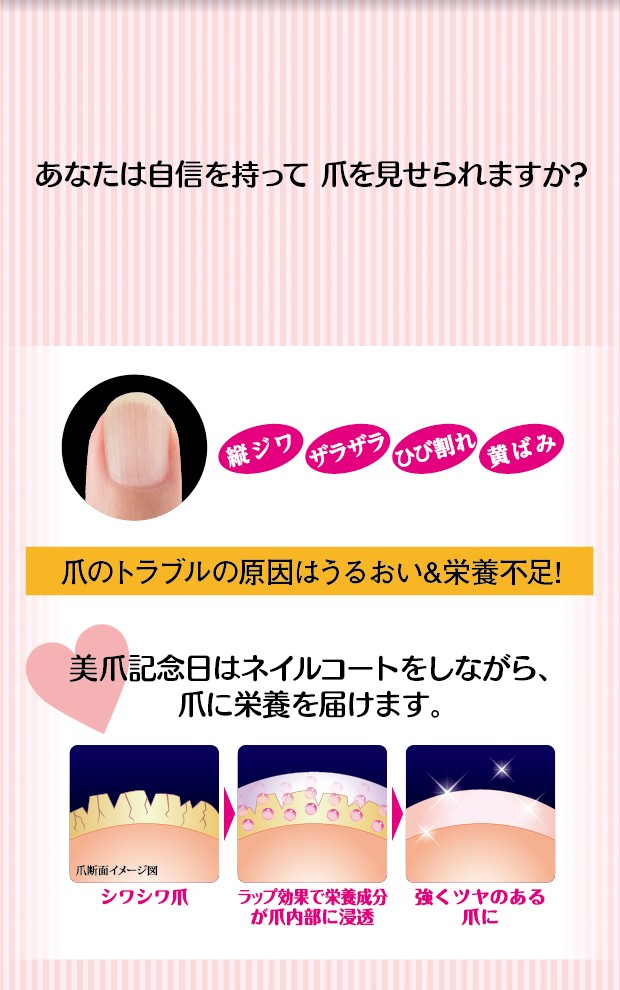 超安い ネイル 栄養成分が爪内部まで染み込む 浸透型 ネイル 美爪記念日プロテクトネイル 爪 ネイル 爪美容液 ベースコート 爪補強液 ネイルカラー トップコート 保護 保湿 補修 ダメージケア Www Threeriversofs Com