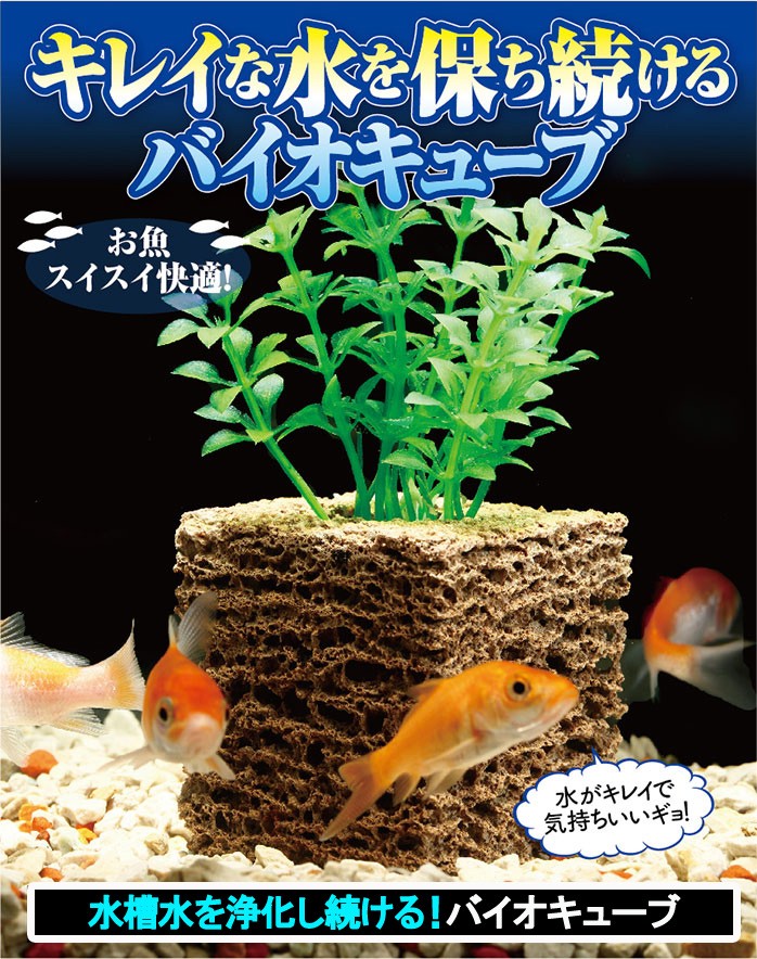 水槽水を浄化し続ける バイオキューブ キレイな水 水槽浄化 水換え不要 発泡セラミックス 納豆菌 浄化生物 お掃除 水道代 水質保持 Plan 54 プレミアムポニー 通販 Yahoo ショッピング