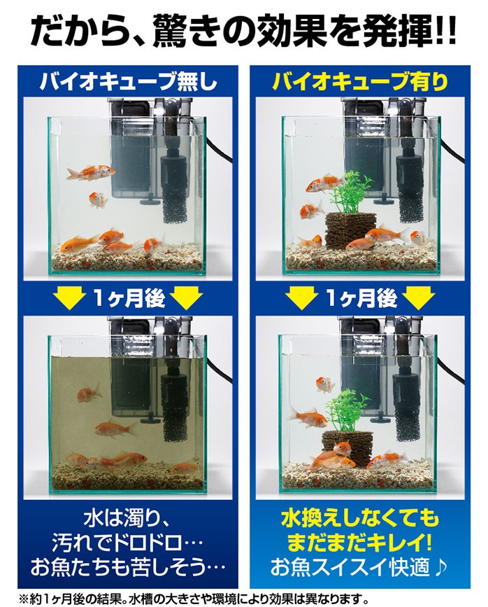 水槽水を浄化し続ける バイオキューブ キレイな水 水槽浄化 水換え不要 発泡セラミックス 納豆菌 浄化生物 お掃除 水道代 水質保持 Plan 54 プレミアムポニー 通販 Yahoo ショッピング