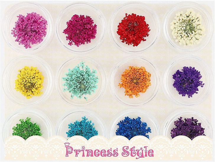  dry flower race flower pressed flower 60 sheets resin art . nails .12 color × each 5 sheets case go in 
