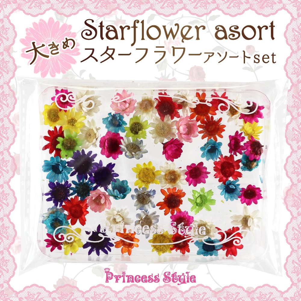  Star flower largish dry flower material for flower arrangement assortment set 