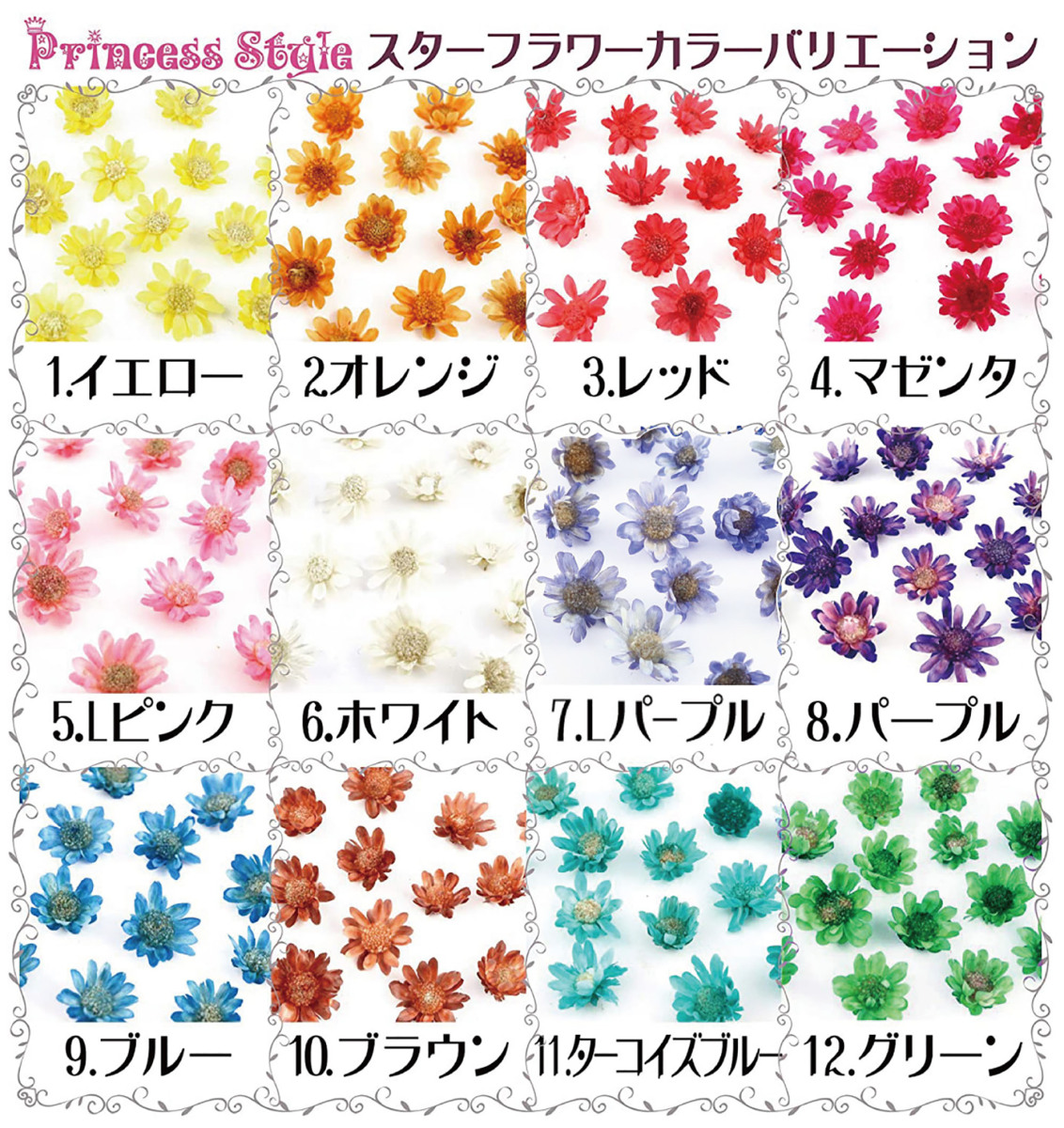  Star flower dry flower 12 color × each 5 piece set 12 trout in the case 