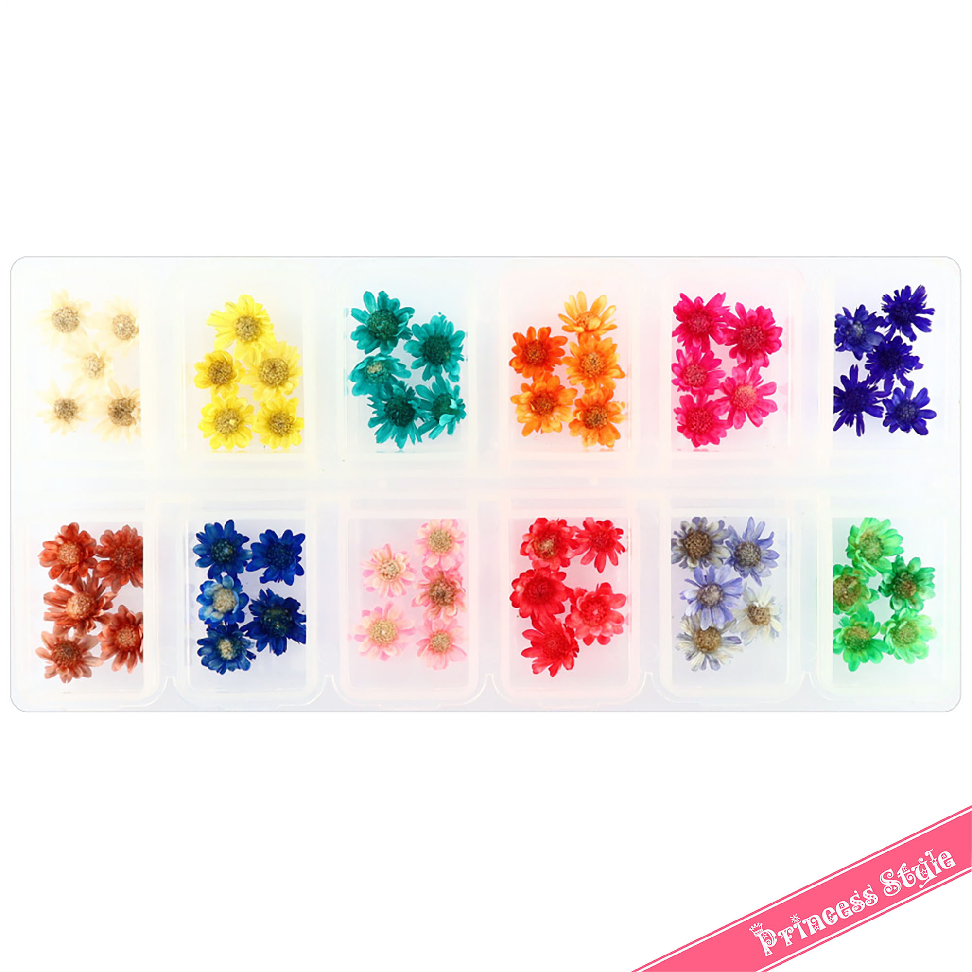  Star flower dry flower 12 color × each 5 piece set 12 trout in the case 