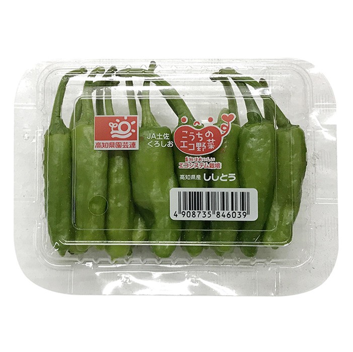  Kochi prefecture production house shishito green pepper (.. chili pepper ) Mini pack approximately 50g( pack )