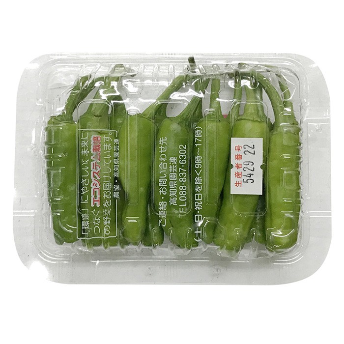  Kochi prefecture production house shishito green pepper (.. chili pepper ) Mini pack approximately 50g( pack )