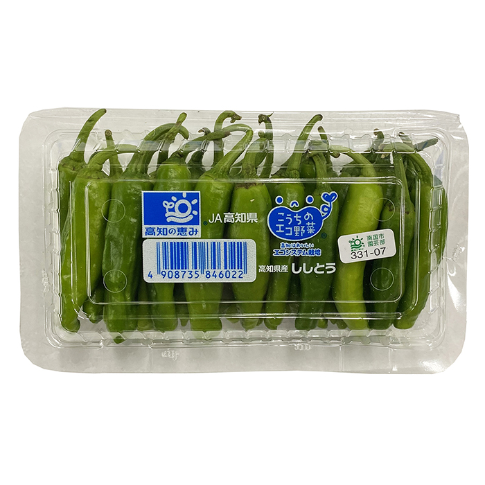  Kochi prefecture production house shishito green pepper (.. chili pepper ) approximately 100g( pack )