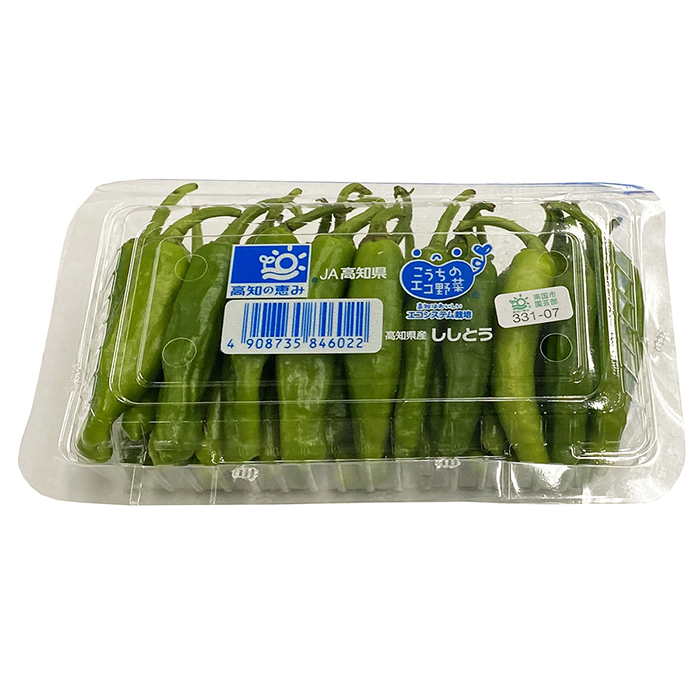  Kochi prefecture production house shishito green pepper (.. chili pepper ) approximately 100g( pack )