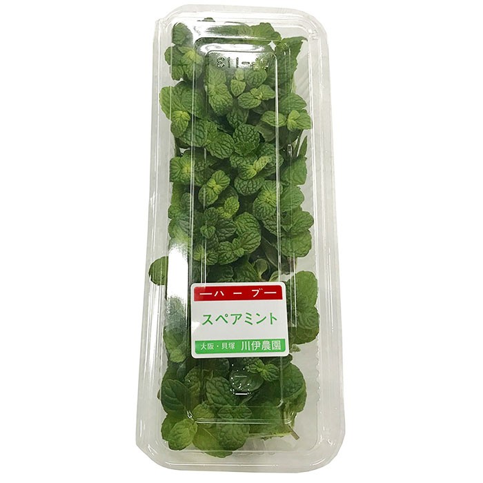  Osaka (metropolitan area) production spare mint meal for herb 1 pack 