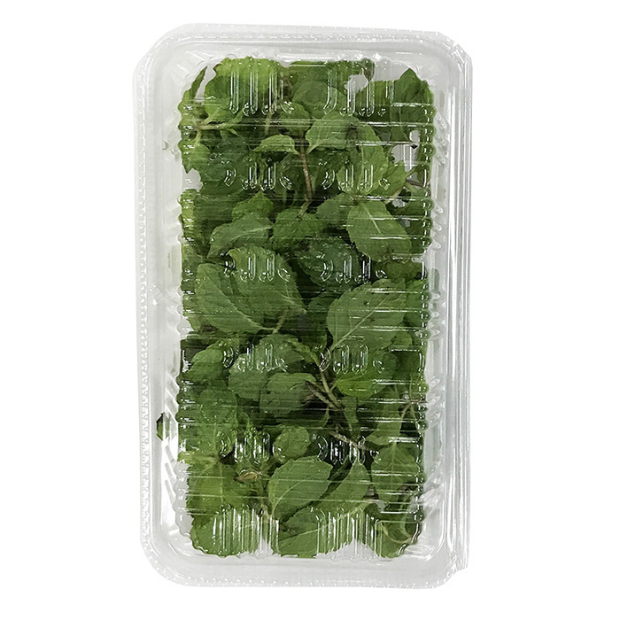  Shizuoka prefecture production spare mint meal for herb 1 pack 