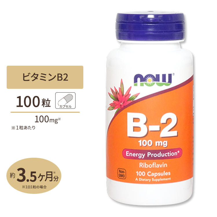ナウフーズ ビタミンB2 リボフラビン 100mg 100粒 × 1個の商品画像