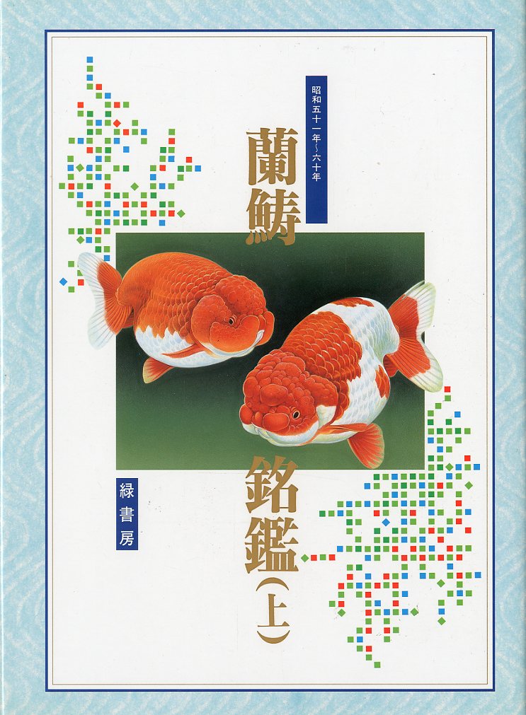  орхидея .....( сверху ) Showa . 10 один год ~ шесть 10 год 