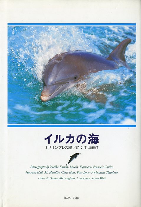  dolphin. sea < free shipping >