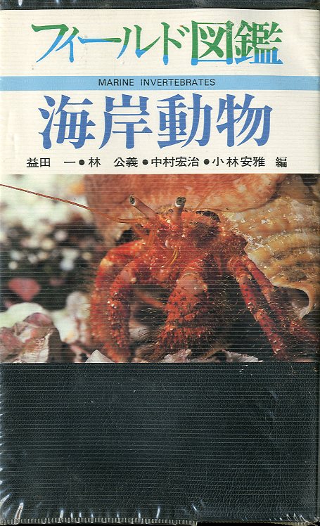 поле иллюстрированная книга набережная животное 