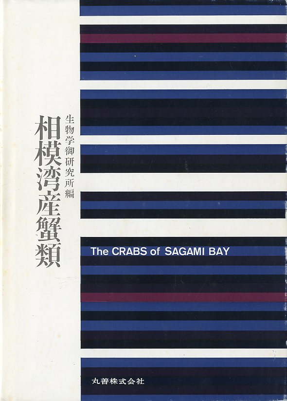  Sagami . производство . вид 