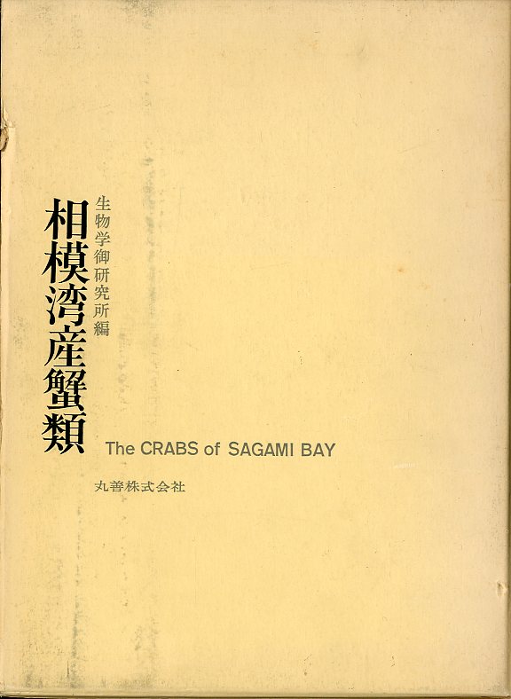  Sagami . производство . вид 