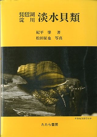  Biwa-ko . река пресная вода моллюски < бесплатная доставка >