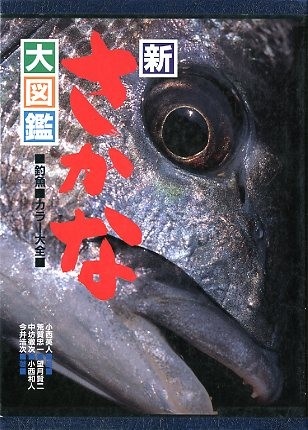  новый ... большой иллюстрированная книга 