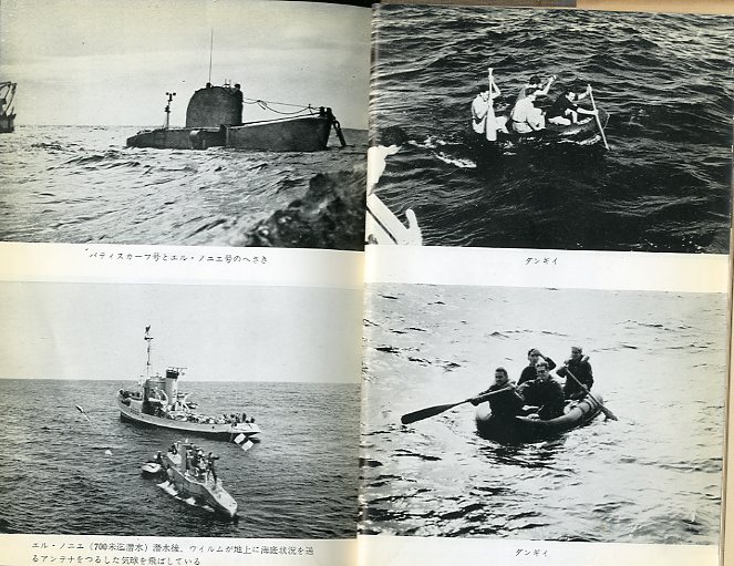 4000 рис. глубокий море ...< бесплатная доставка >