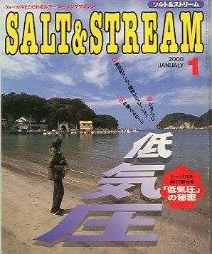 SALT&amp;STREAM( соль & Stream ) 2000 год 1 месяц номер < бесплатная доставка >